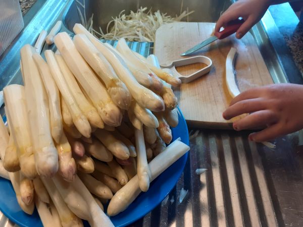 Spargelzeit - unsere aktuellen �ffnungszeiten f�r den Spargelverkauf